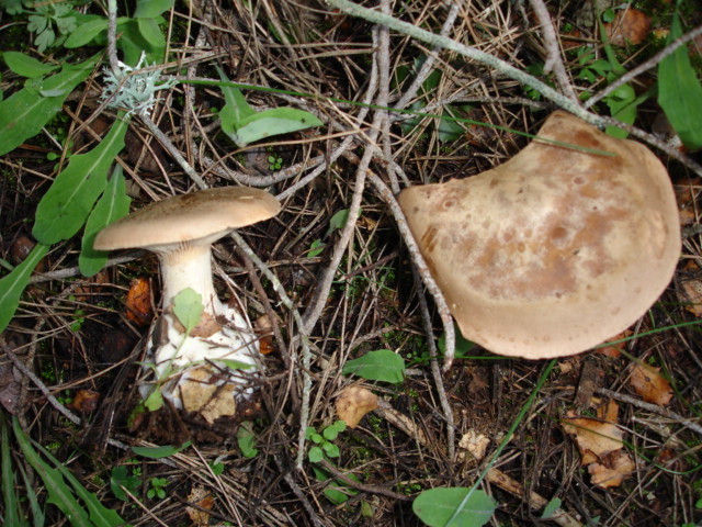 Murgia Novembre 2007-continuazione